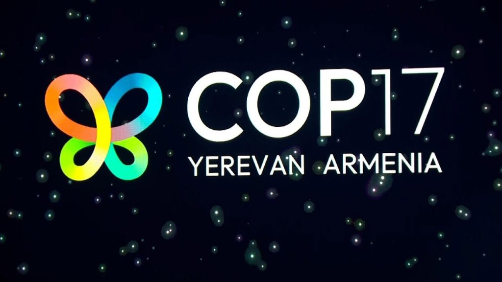 COP17-ի պաշտոնական բացման արարողությունը․ ՈւՂԻՂ