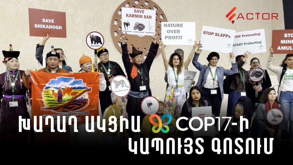 «Փրկե՛նք Ամուլսարը, պահպանե՛նք կենսաբազմազանությունը»․ խաղաղ ակցիա COP17-ի Կապույտ գոտում. ՏԵՍԱՆՅՈՒԹ