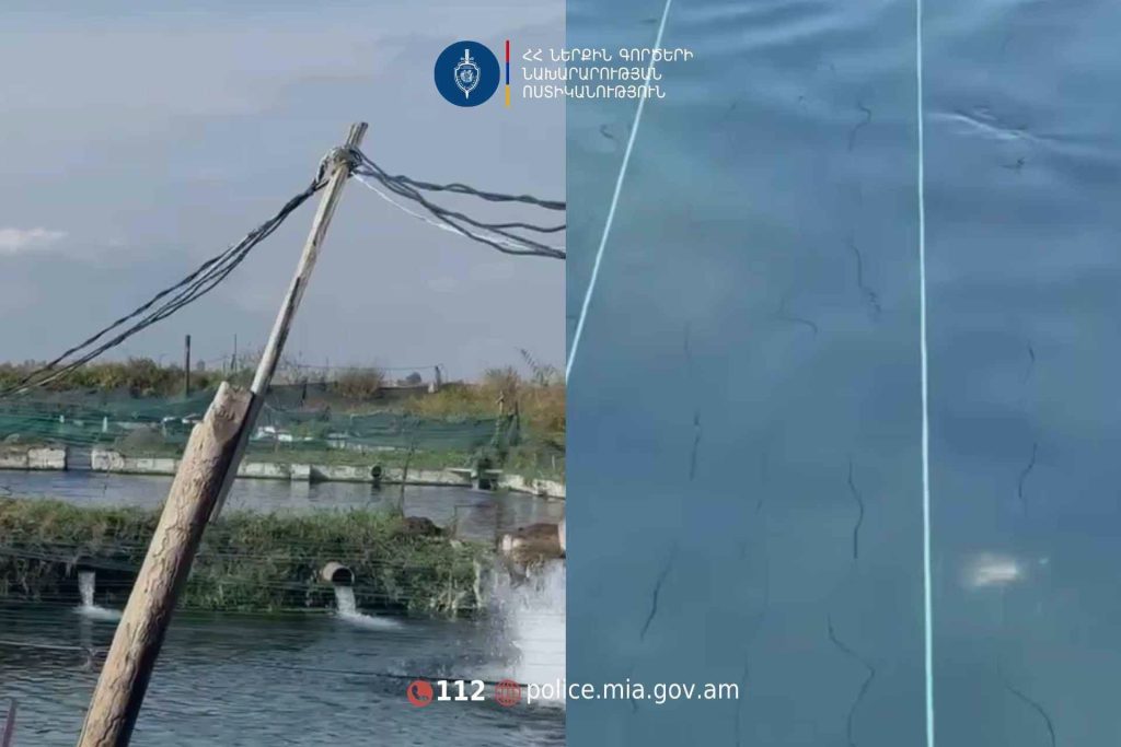Ապօրինի ձկնաբուծության կասկածանքով ձերբակալվել են Սիփանիկի վարչական ղեկավարն ու նրա որդին․ պետությանը պատճառվել է ավելի քան 17 մլն դրամի վնաս