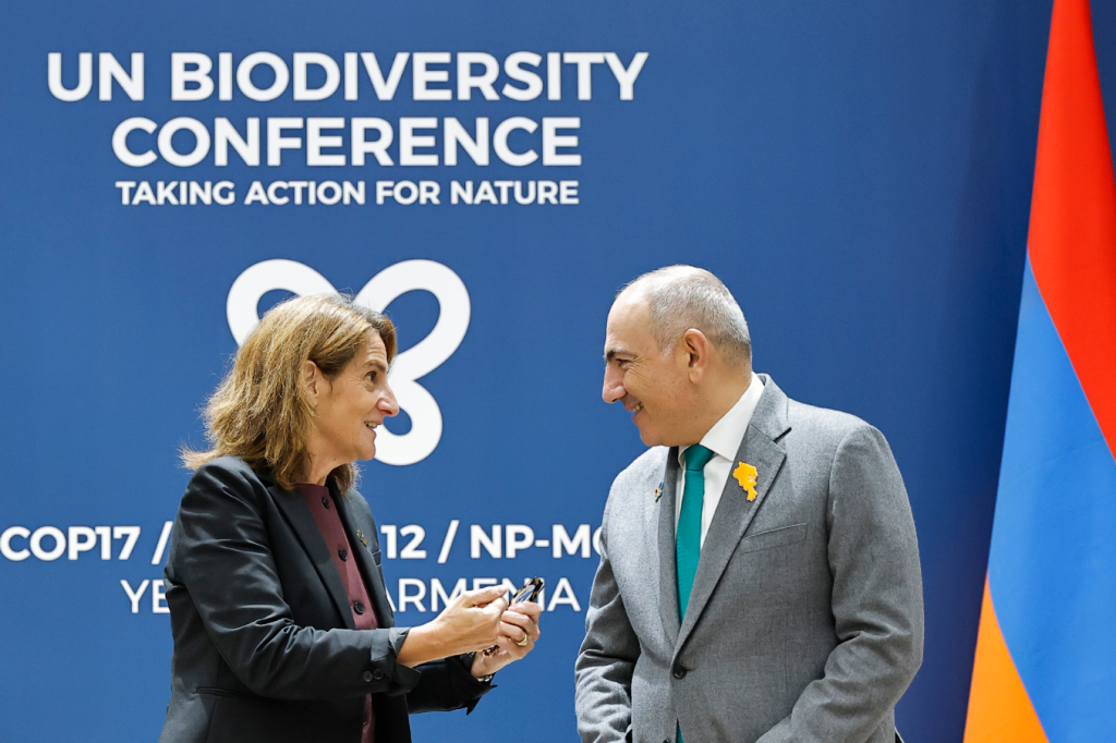 Փաշինյանն ու Թերեզա Ռիբերան քննարկել են ԵՄ-ի հետ վիզաների ազատականացման և էներգետիկ համագործակցության հարցերը