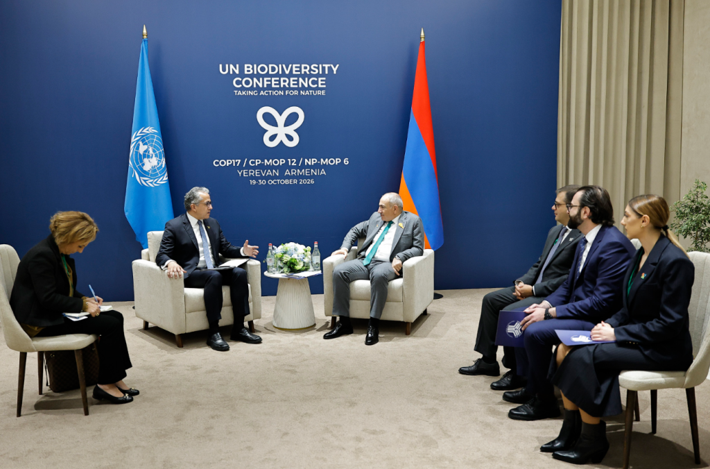 Փաշինյանն ու ՅՈՒՆԵՍԿՕ-ի գլխավոր տնօրենը քննարկել են մշակութային ժառանգության պահպանության հարցերը